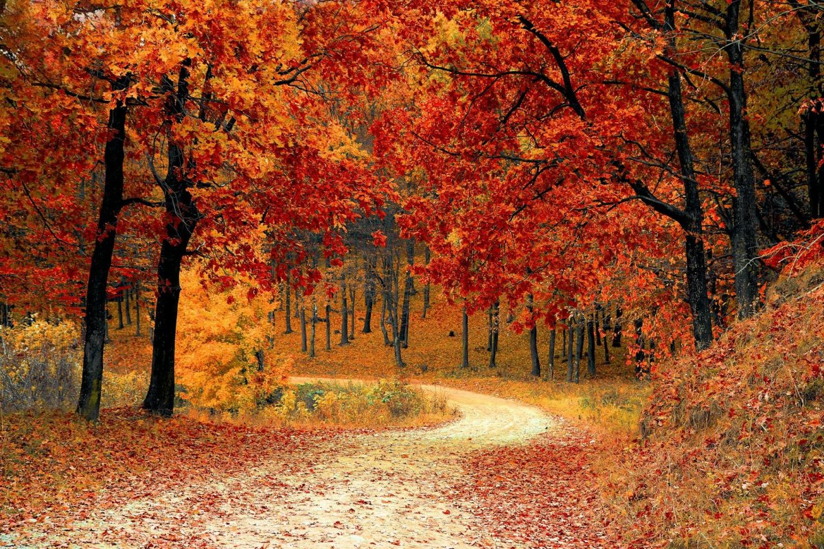 Die besten Wärmesohlen für den Herbst