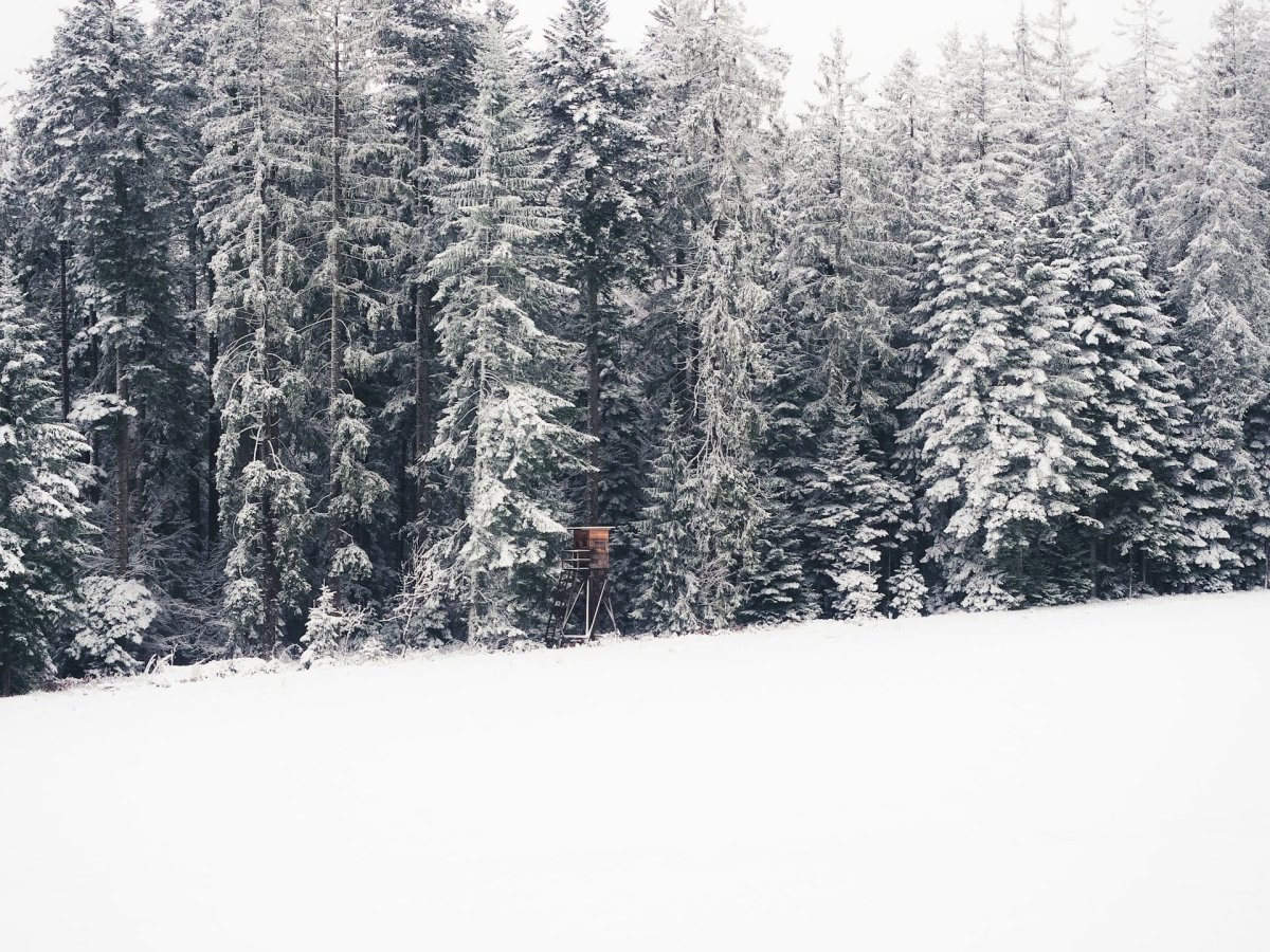 Wie Sie beim Jagen warm bleiben – die besten Tipps für kalte Tage